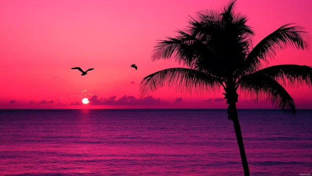 A pink sunset over a calm ocean.