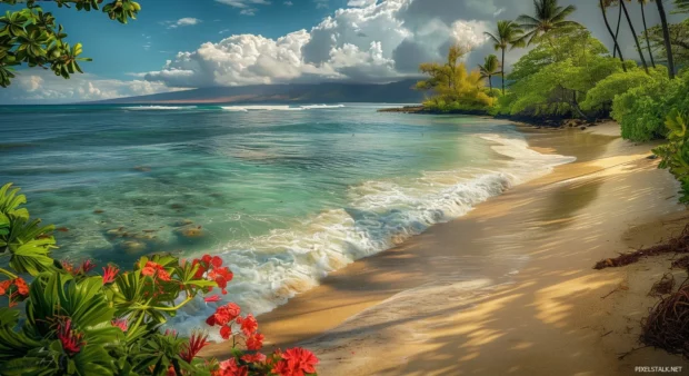 A serene Hawaii beach with gentle waves for desktop background.