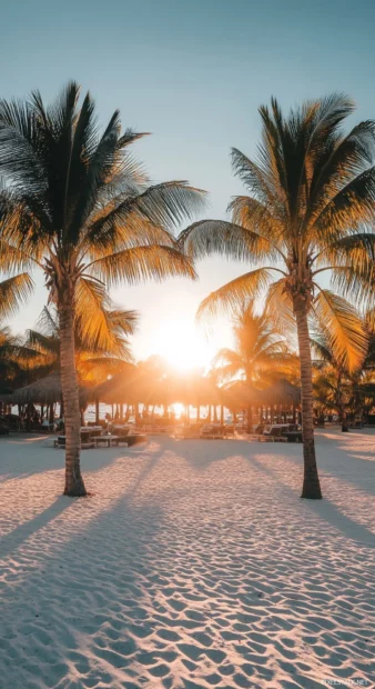 A stunning sunrise casting golden light on a white sand beach.