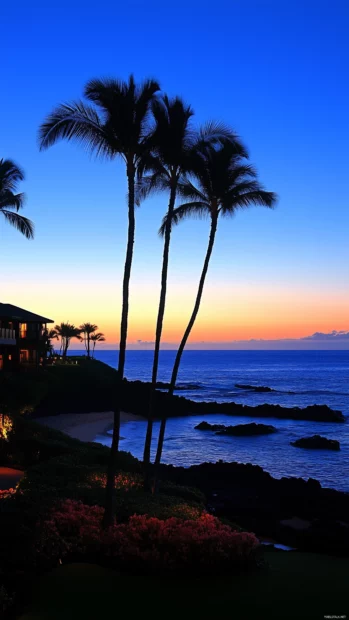 A sunset over a tropical beach with palm trees.