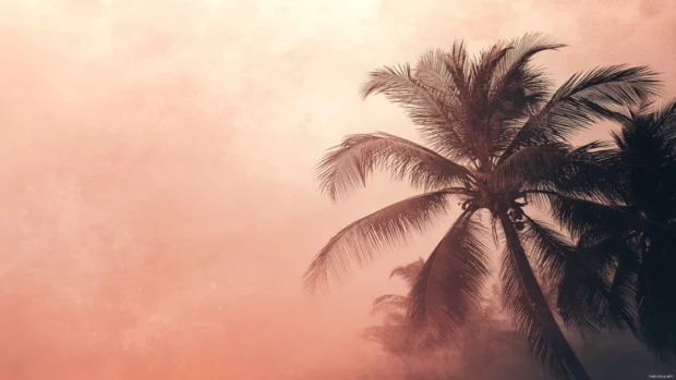 A vintage style desktop wallpaper of a palm tree beach.