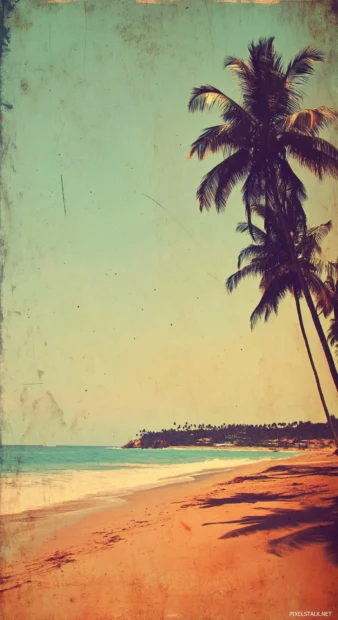 A vintage style photograph of a beach scene with palm trees and a blue ocean.