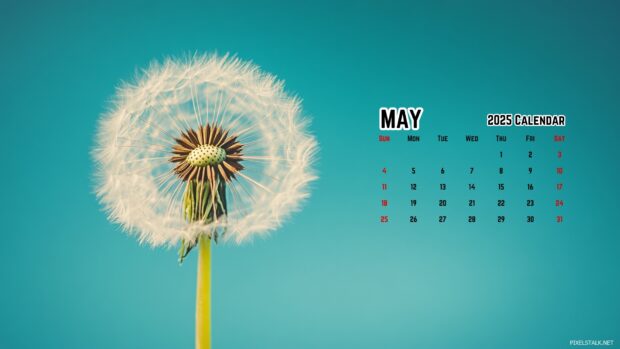 Backgrounds May 2025 Calendar.