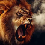 Close up of a roaring lion, amber eyes blazing with rage, steam in cold night air.