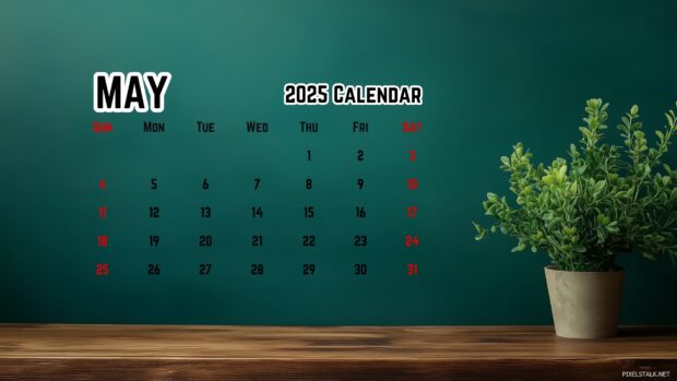 Free Download May 2025 Calendar Backgrounds HD  1080p.