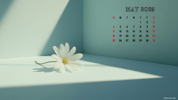 Free Download May 2025 Calendar Desktop Background.