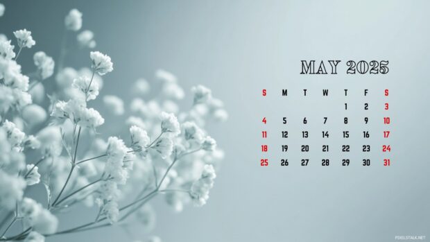 Free Download May 2025 Calendar Desktop Wallpaper HD 1080p.