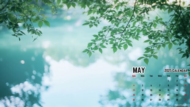 Free download May 2025 Calendar Desktop Wallpaper.