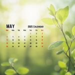 Free download May 2025 Calendar Desktop Wallpaper HD.