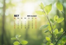 Free download May 2025 Calendar Desktop Wallpaper HD.