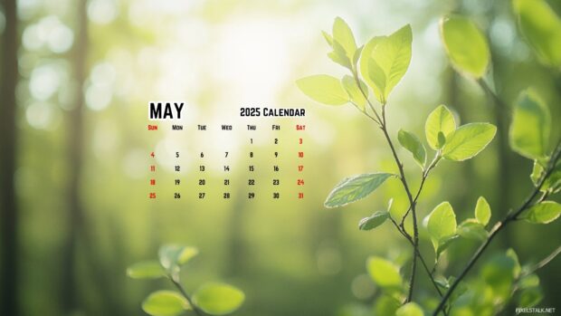 Free download May 2025 Calendar Desktop Wallpaper HD.