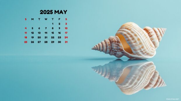 Free download May 2025 Calendar Wallpaper.