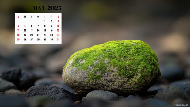 Free download May 2025 Calendar Wallpaper HD.