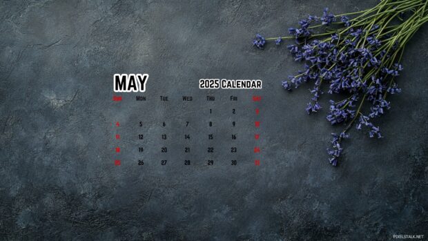 HD Backgrounds May 2025 Calendar.