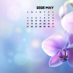 May 2025 Calendar.