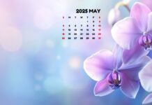 May 2025 Calendar.