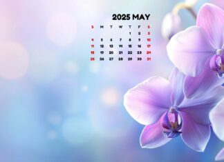 May 2025 Calendar.