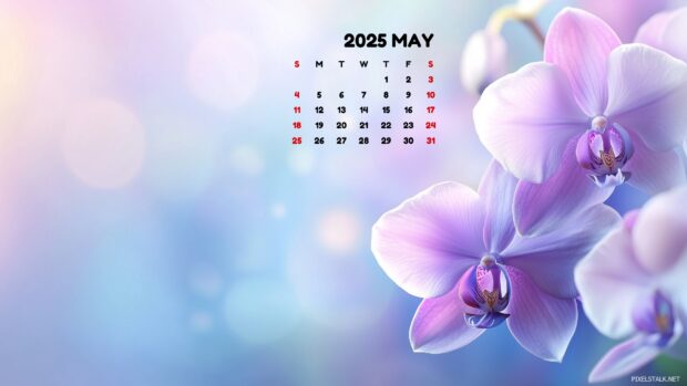 May 2025 Calendar.