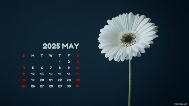 May 2025 Calendar Backgrounds.