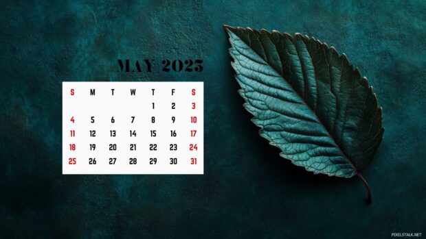 May 2025 Calendar Backgrounds Desktop.