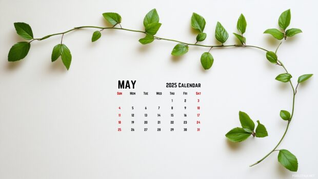 May 2025 Calendar Backgrounds Free Download.