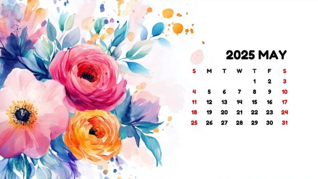 May 2025 Calendar Backgrounds HD Free download.