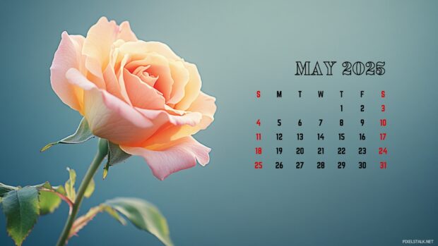 May 2025 Calendar Backgrounds HD for PC.