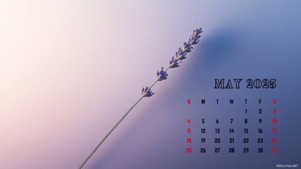 May 2025 Calendar Backgrounds for Desktop.