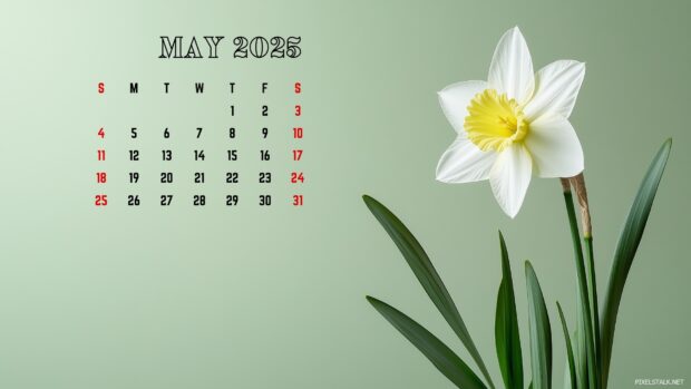 May 2025 Calendar Backgrounds for Mac.