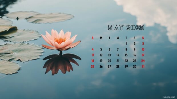 May 2025 Calendar Backgrounds for PC.