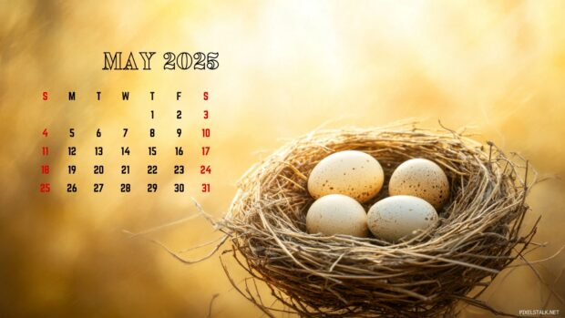 May 2025 Calendar Computer Wallpaper.