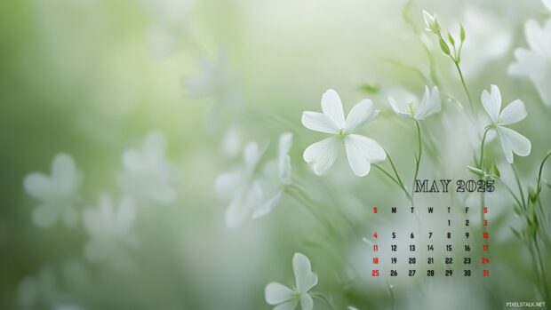 May 2025 Calendar Computer Wallpaper HD.