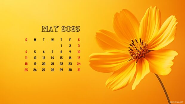 May 2025 Calendar Desktop Background Backgrounds.