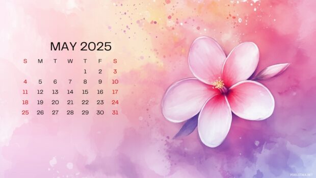 May 2025 Calendar Desktop Background HD Backgrounds.