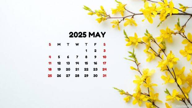 May 2025 Calendar Desktop HD Wallpaper.