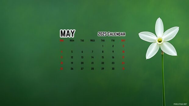 May 2025 Calendar Desktop HD Wallpaper Free download.