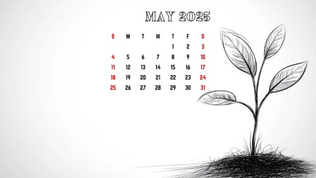 May 2025 Calendar Desktop Wallpaper 1080p.