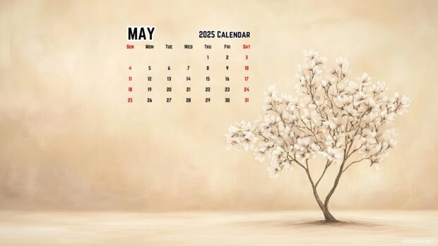 May 2025 Calendar Desktop Wallpaper HD 1080p.