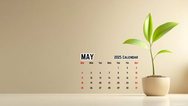 May 2025 Calendar Desktop Wallpaper HD.