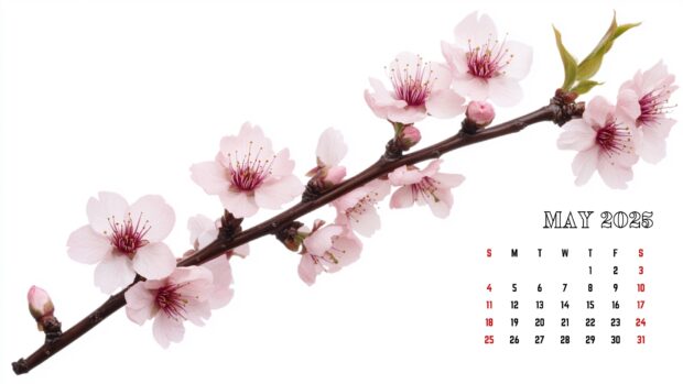 May 2025 Calendar Desktop Wallpaper High Quality.