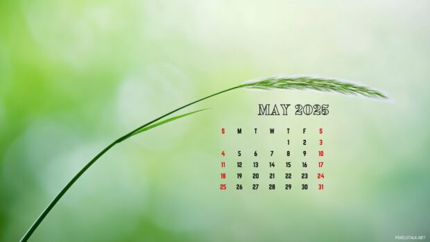 May 2025 Calendar Desktop Wallpapers.