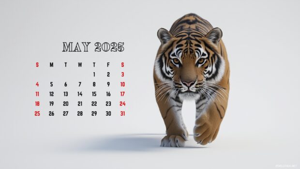 May 2025 Calendar HD Backgrounds Computer.