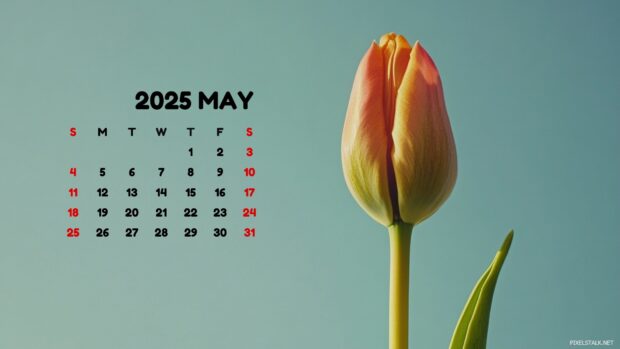 May 2025 Calendar Wallpaper Computer.