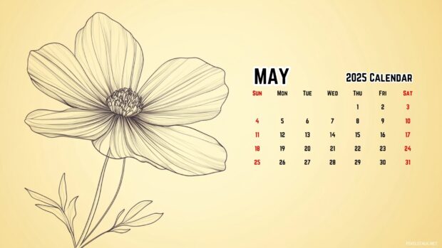 May 2025 Calendar Wallpaper Computer.