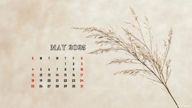 May 2025 Calendar Wallpaper Desktop.