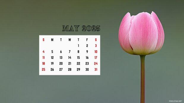 May 2025 Calendar Wallpaper Desktop.