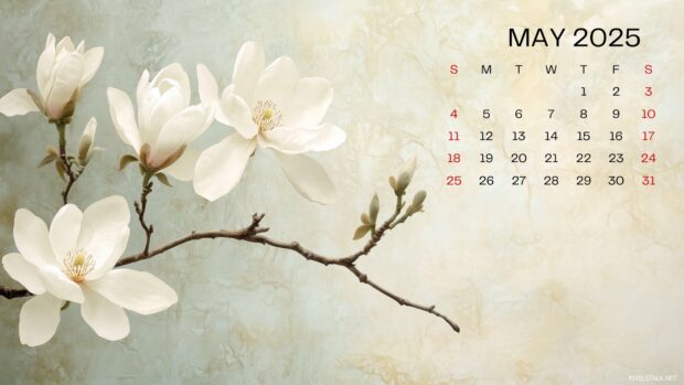 May 2025 Calendar Wallpaper HD.