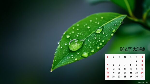 May 2025 Calendar Wallpaper HD for Desktop.