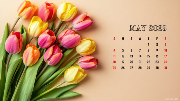 May 2025 Calendar Wallpaper HD for Mac.