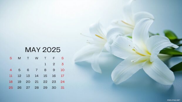 May 2025 Calendar Wallpaper HD for Mac.